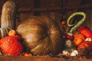How Can Cucurbita and Its Seeds Help in Disease Prevention?