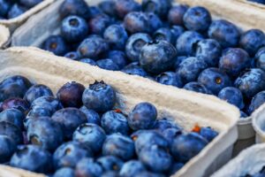 Blueberries: A Review of Their Composition and Health Benefits