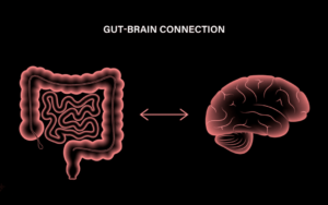 The Gut-Brain Connection: Unraveling the Influence of Diet and Microbiota on Brain Health
